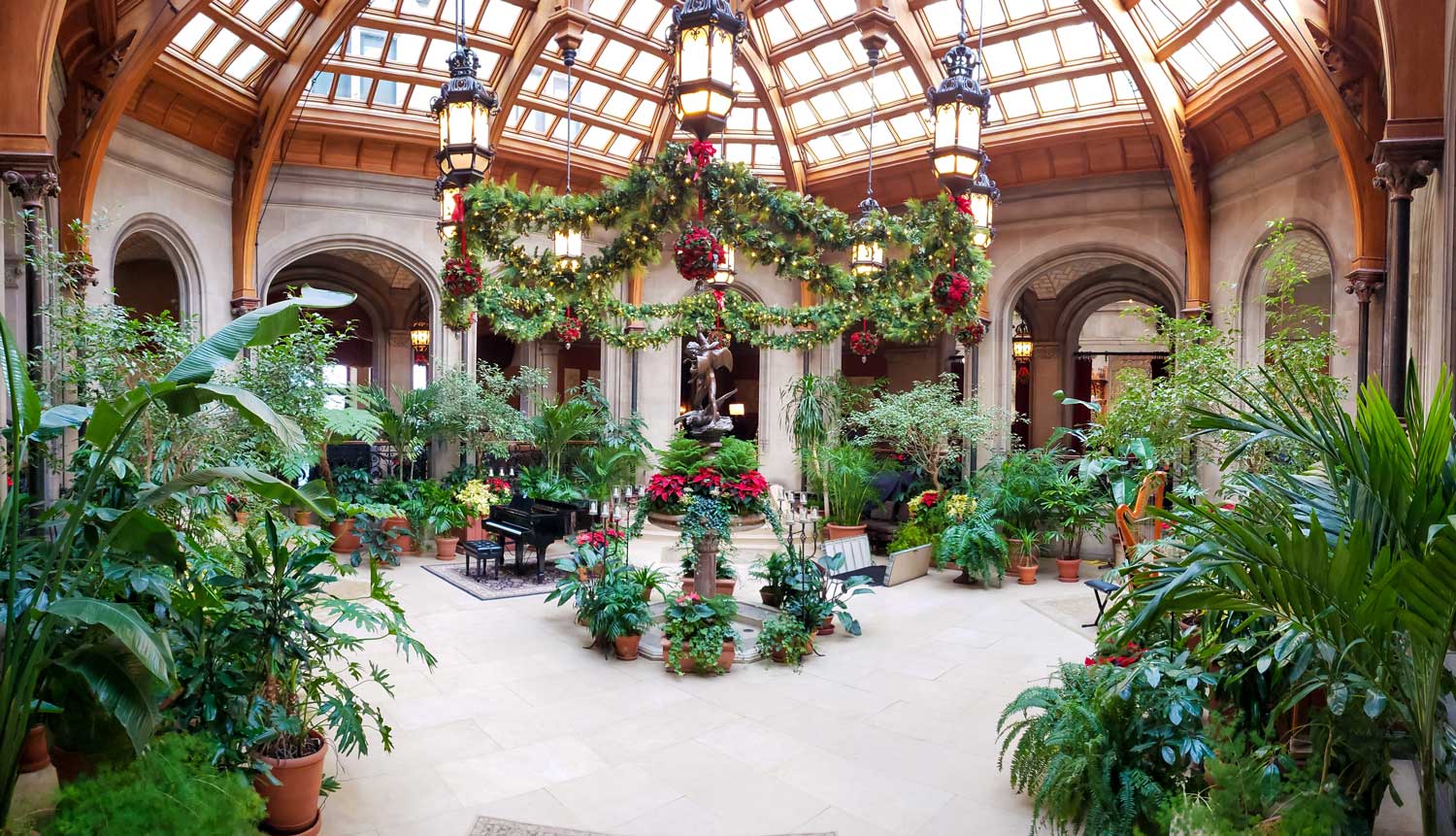 inside the green house