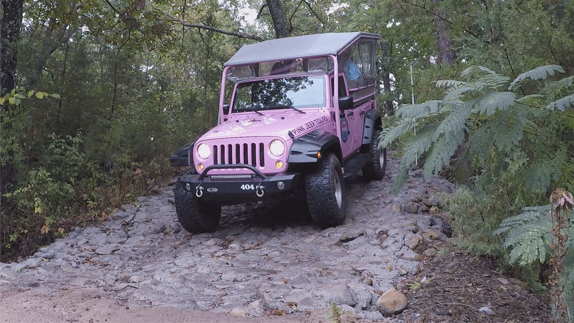 pink jeep in the woods