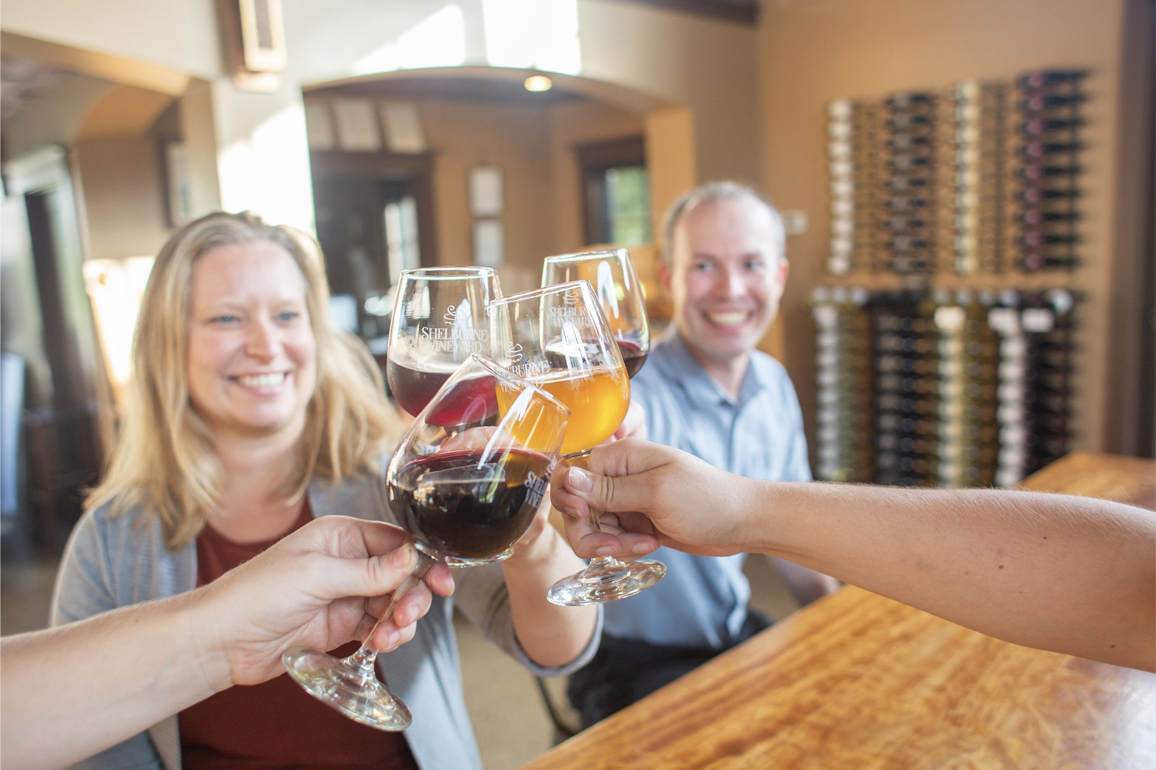 people are cheering with glasses of wine