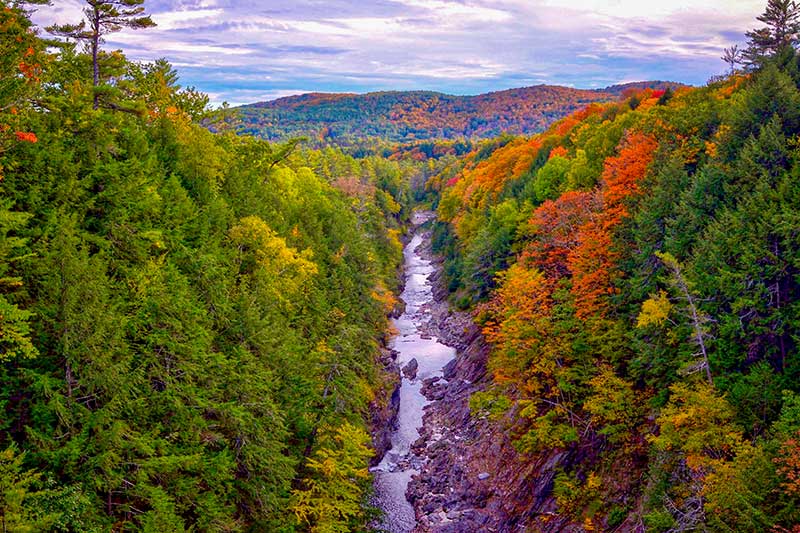 Culinary-NewEngland-2