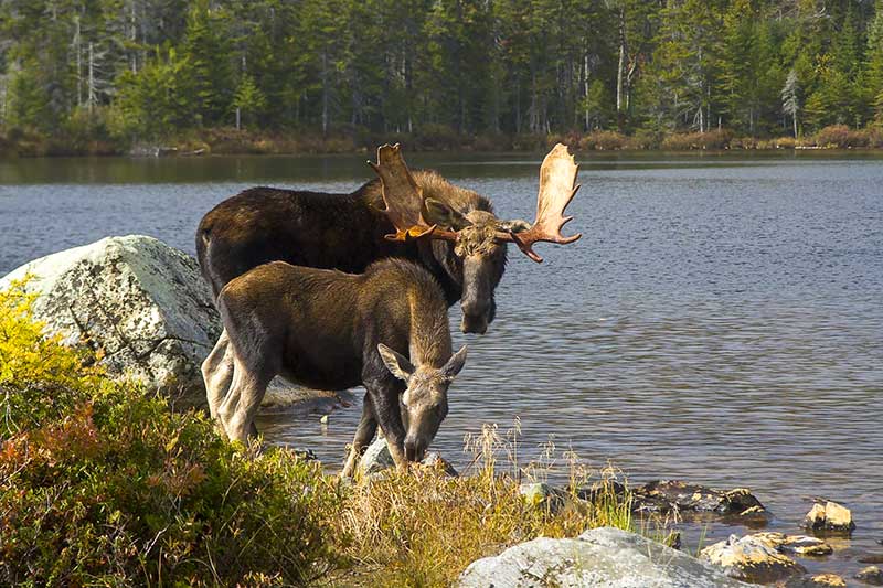 MainesMountains-4